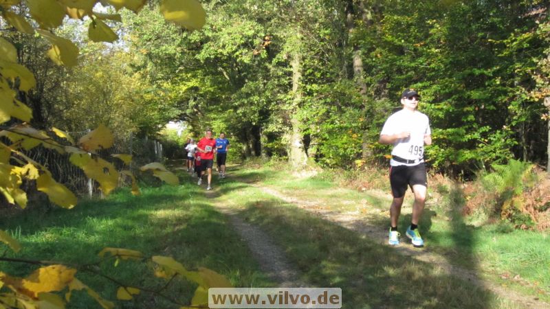 12hambach-wald25.jpg