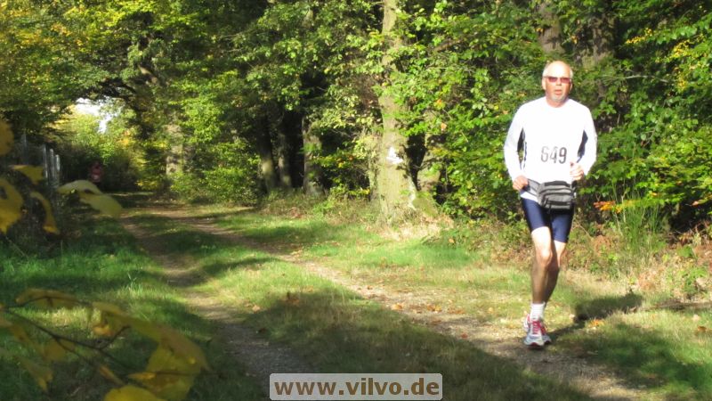 12hambach-wald26.jpg