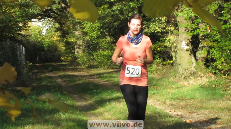 12hambach-wald27.jpg