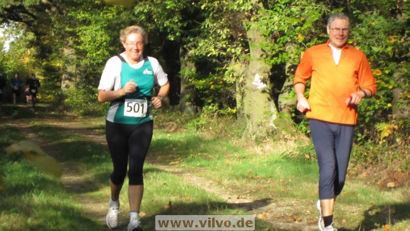 12hambach-wald28.jpg