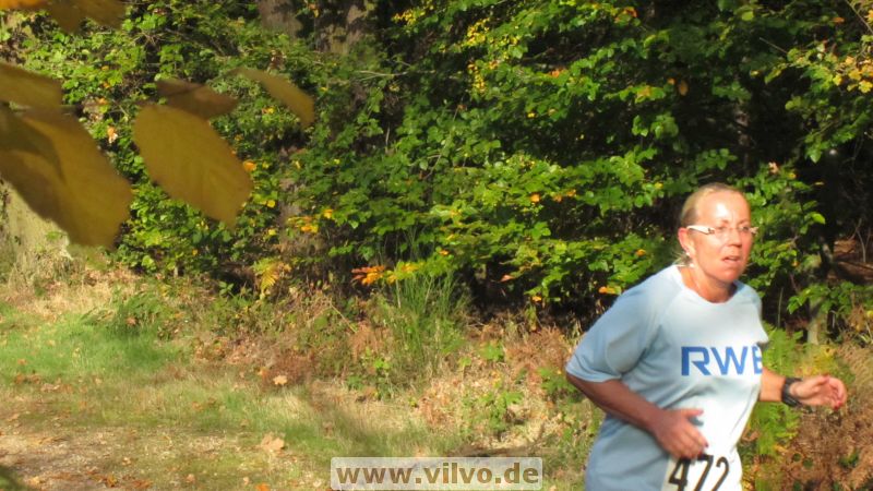 12hambach-wald29.jpg