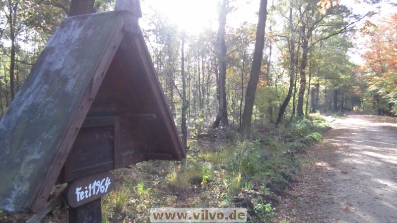 12hambach-wald31.jpg
