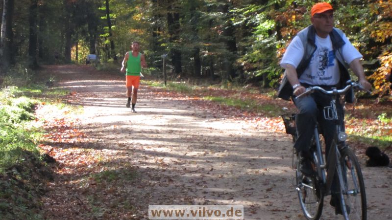 12hambach-wald32.jpg