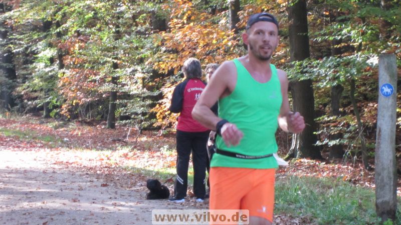12hambach-wald33.jpg
