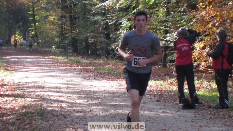 12hambach-wald34.jpg