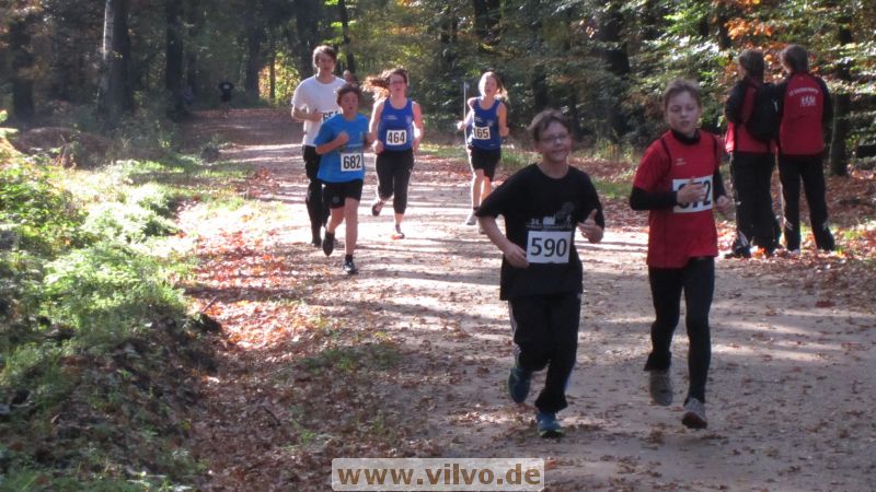 12hambach-wald36.jpg