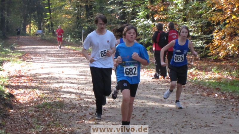 12hambach-wald37.jpg