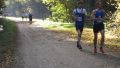 12hambach-wald04.jpg