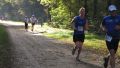 12hambach-wald05.jpg