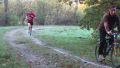 12hambach-wald07.jpg