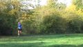 12hambach-wald09.jpg