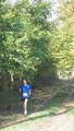12hambach-wald11.jpg