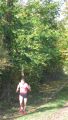 12hambach-wald12.jpg