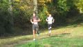 12hambach-wald13.jpg