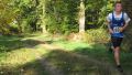 12hambach-wald23.jpg