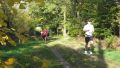12hambach-wald25.jpg