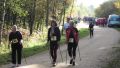 12hambach-wald30.jpg