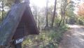12hambach-wald31.jpg