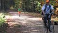 12hambach-wald32.jpg