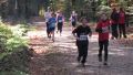 12hambach-wald36.jpg