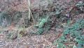 12rursee005.jpg