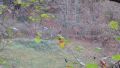 12rursee156.jpg