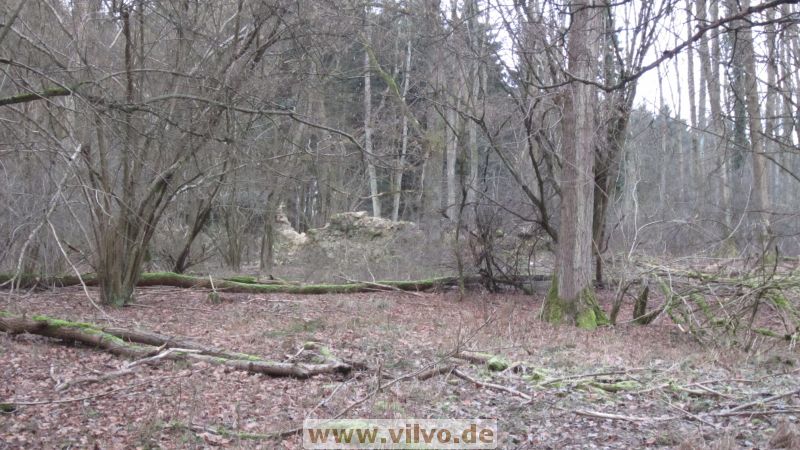 13NEU08.jpg
