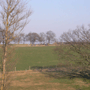 13NEUb024.gif