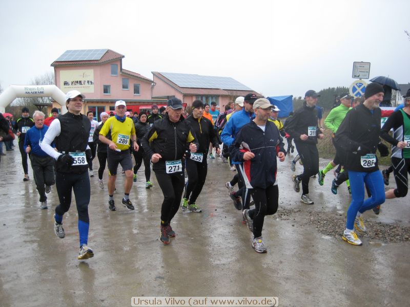 13donatus09.jpg