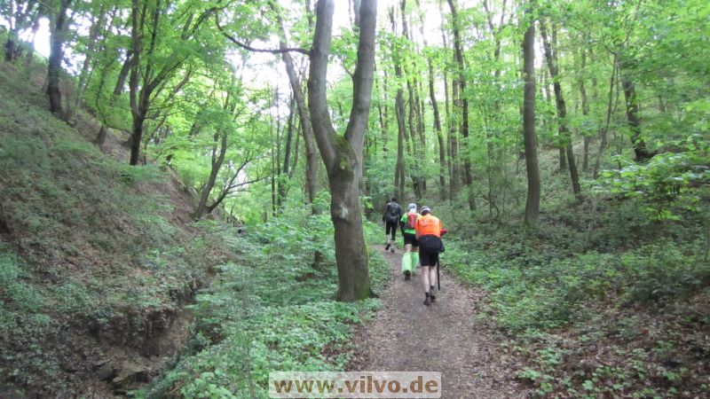 13pussyrun18.jpg 13pussyrun18.jpg