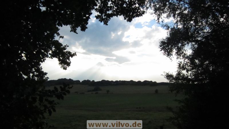 13mausbach05.jpg