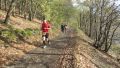 13rurseemarathon130.jpg