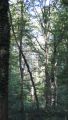 14burgaulauf01.jpg