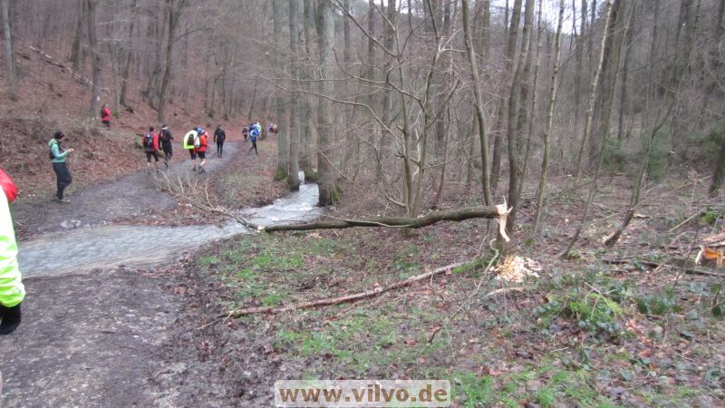 15NEU13.jpg