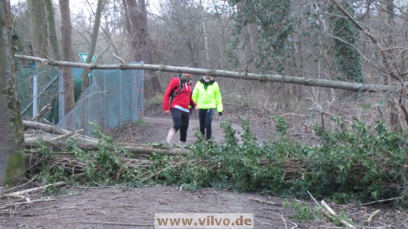 15NEU26.jpg