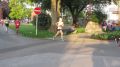 15duerwiss430.jpg