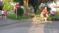 15duerwiss433.jpg