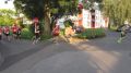 15duerwiss470.jpg