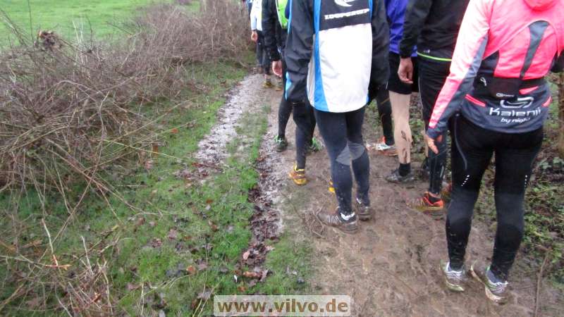 16SMLoop09.jpg