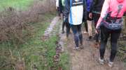 16SMLoop09.jpg