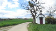 16zuelpich003.jpg