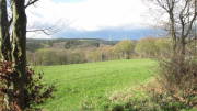 16sborneif03.jpg