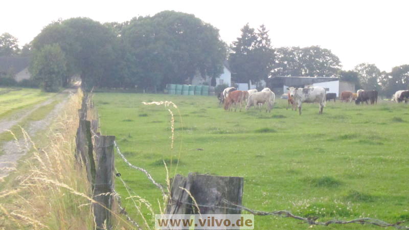 16vossanack047.jpg 16vossanack047.jpg