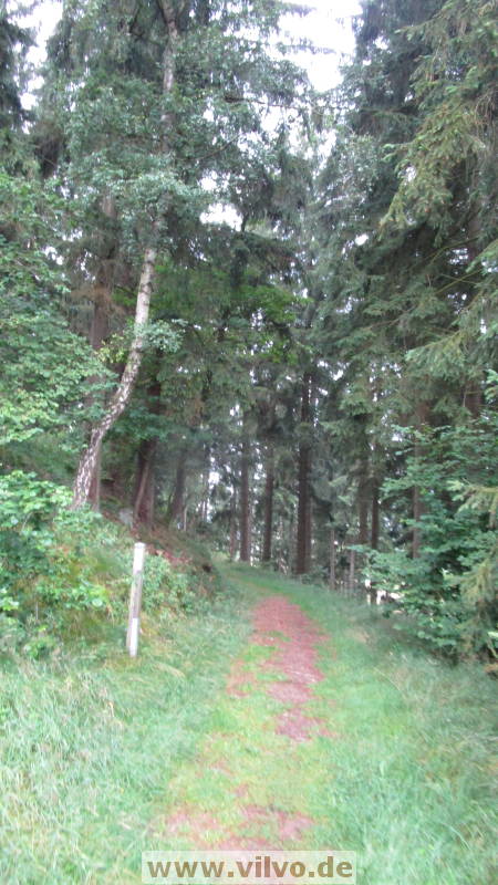16quellenpfad04.jpg