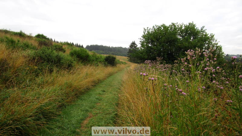 16quellenpfad05.jpg