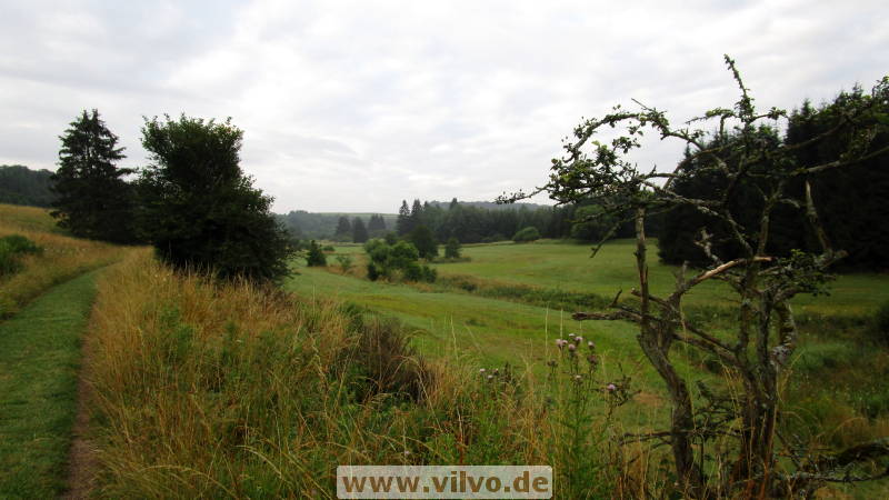 16quellenpfad06.jpg