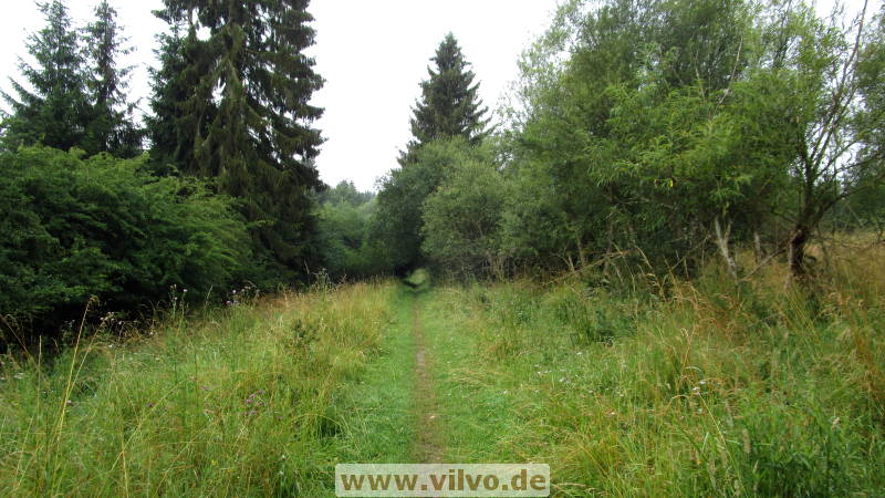 16quellenpfad08.jpg