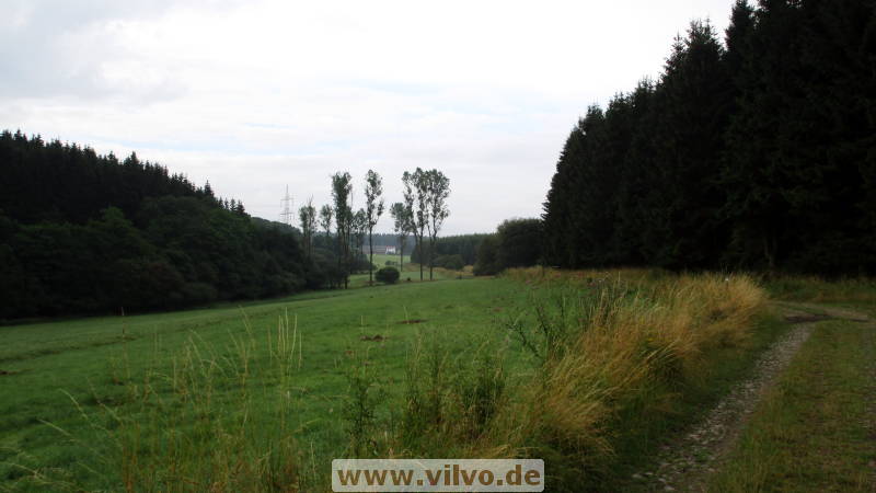 16quellenpfad10.jpg