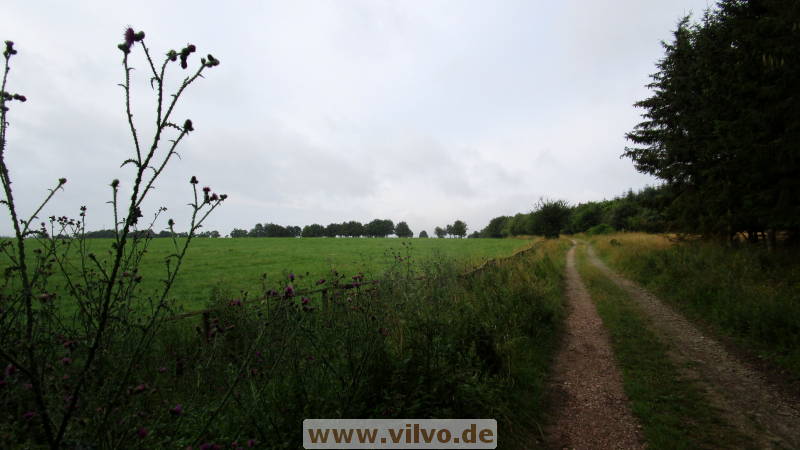 16quellenpfad11.jpg