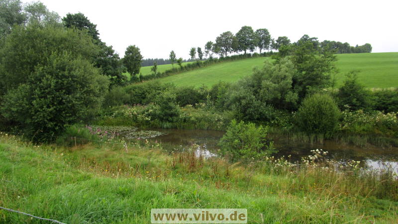 16quellenpfad16.jpg